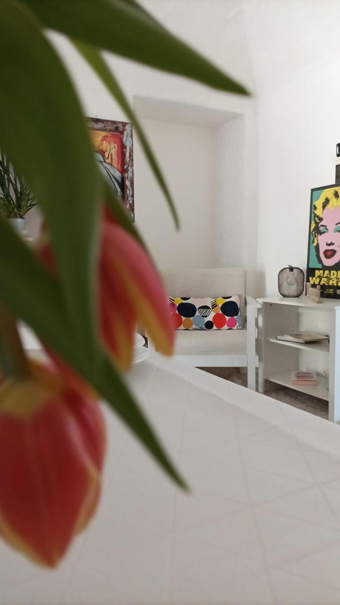 Quick Home - Interno 45 Biella Rum bild